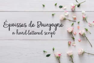 PN Époisses De Bourgogne: A Premium Script Font for Web Design